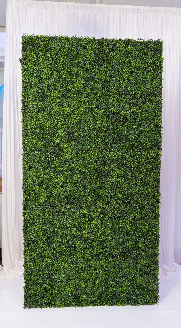 A wall of green plants with white curtains