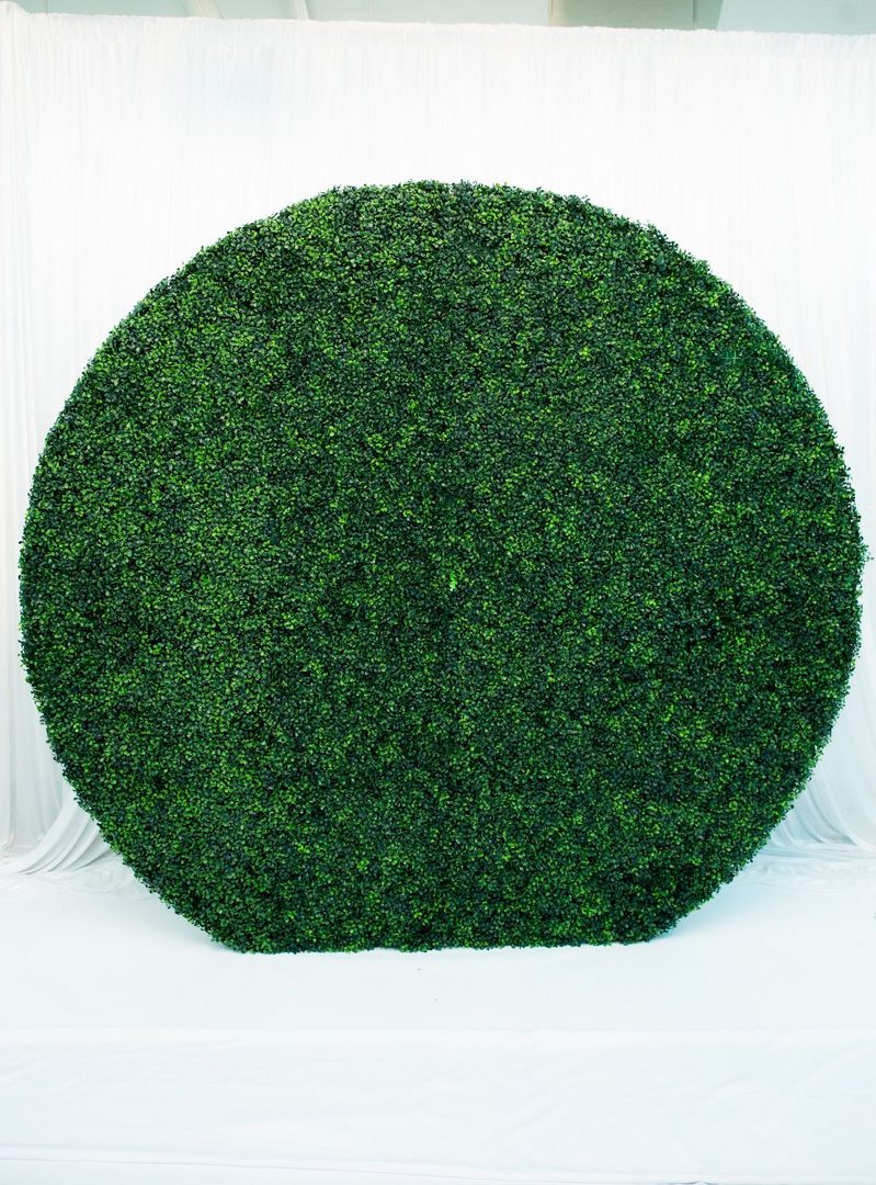 A round hedge is shown in front of a white backdrop.