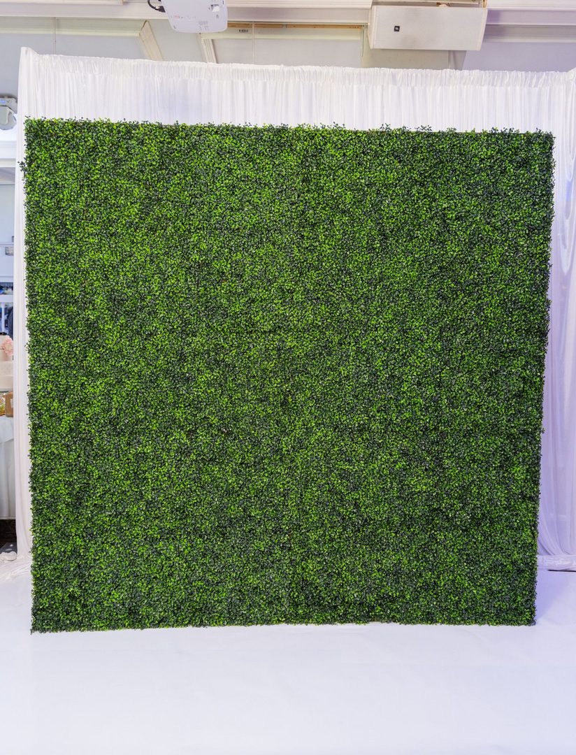 A green wall with some type of plant growing on it